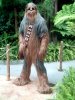 chewbacca.jpg