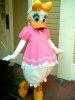daisy.jpg