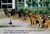 psalm23.jpg