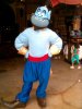 genie.jpg
