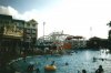 wdwpic50001.jpg