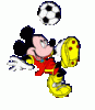 soccermicrmd2.gif
