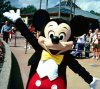 mickey2.jpg