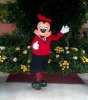 mickey.jpg