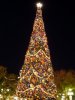 mk_chritmastree-2001.jpg