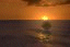 orb-forum.gif