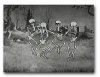 skeleton dance.jpg