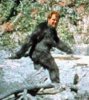 sasquatch.jpg