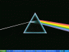 untitled-1 copy.gif