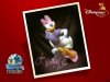 daisyduck.jpg