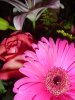flowers 006.jpg