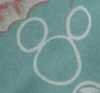 hiddenmickey.jpg
