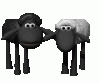 black_sheep_and_white_sheep_md_clr.gif