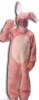 bunny suit.jpg
