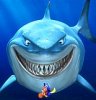 nemo.jpg