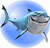shark 1.gif