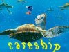 careship.jpg