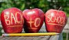 back-to-school-apple_14065384591-1-1.jpg