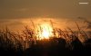 sunset-on-the-wheat-field-5801-1280x800.jpeg