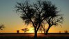 sunset-tree-nature-hd-wallpaper-1920x1080-14073.jpeg