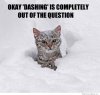 cat-in-snow-meme.jpg