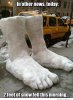 2-feet-of-snow1.jpg