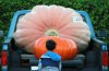 GiantPumpkin_3.jpg