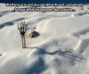 funny-halloween-decorations-in-winter.jpg