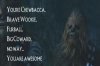 chewbacca_poem.jpeg