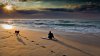 happy-day-on-the-beach-beach-hd-wallpaper-1920x1080-28580.jpeg