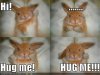 c_1213687863566_funny-pictures-bunny-wants-hug.jpg