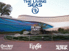 the living seas background contest copy.gif