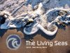 living seas wallpaper copy.jpg