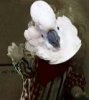 scclown231.jpg