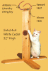 cat-post.gif