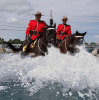splash-mounties.gif