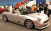2003_02_sema_saleen_thunderbird_spawn.jpg