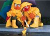 rubberduckie.jpeg