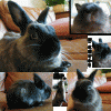 mr.-b.-cute.gif