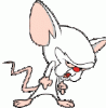 brain.gif
