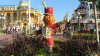 IMG_2437.JPG