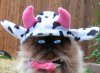 Ready_For_Halloween.jpg