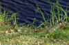 DSC_1740_DxO.jpg