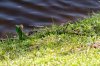 DSC_1741_DxO.jpg