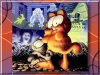 Scared-Garfield-garfield-382950_801_601.jpg