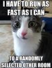 images(38).jpeg