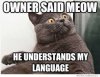 images(43).jpeg