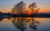 sunset-behind-the-trees-6760-1280x800.jpeg