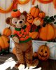 duffy as a pumpkin.jpg