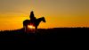 cowboy-in-the-sunset-photography-hd-wallpaper-1920x1080-36183.jpeg